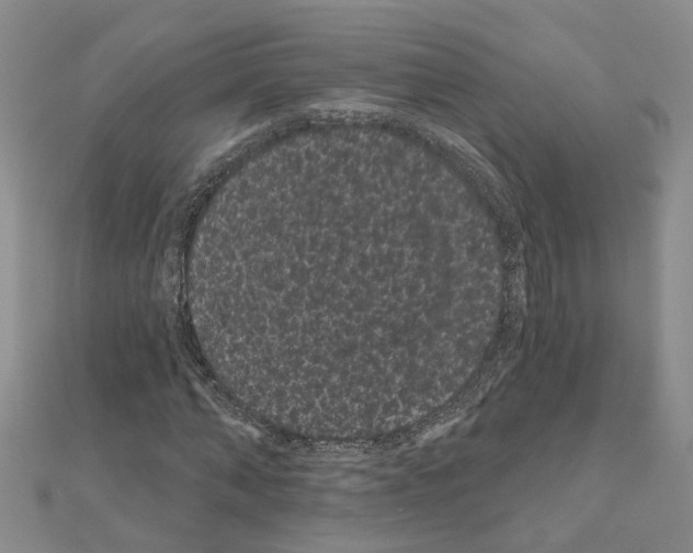 X0000111050870200908061515