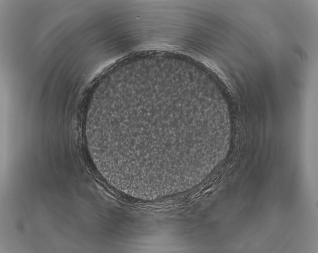 X0000111050872200908061515