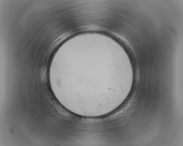 X0000111050873200908061515