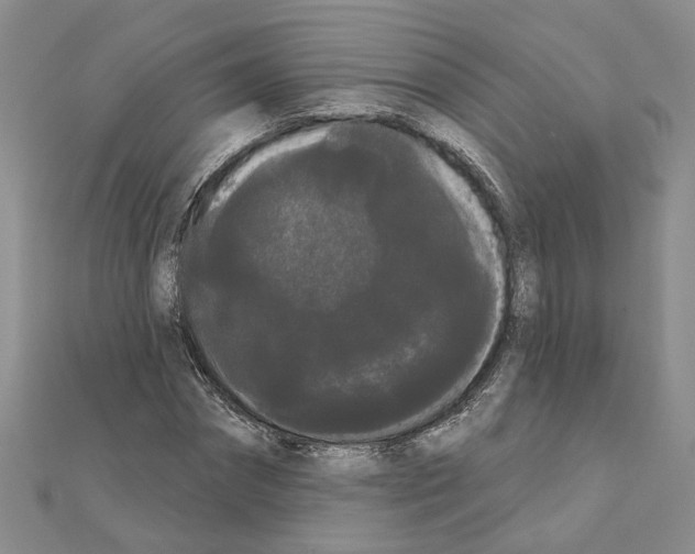 X0000111050874200908061515