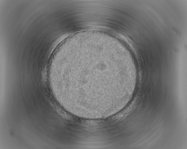 X0000111050875200908061515