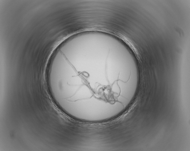 X0000111050876200908061515