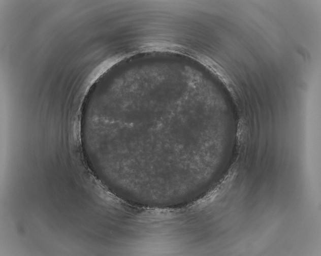 X0000111050877200908061515