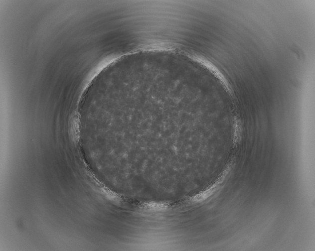 X0000111050878200908061515