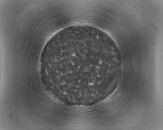 X0000111050879200908061515