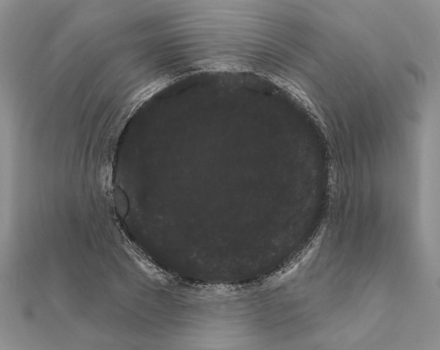 X0000111050881200908061515