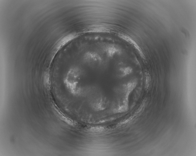 X0000111050882200908061515