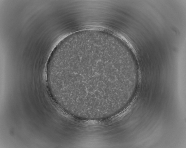 X0000111050883200908061515