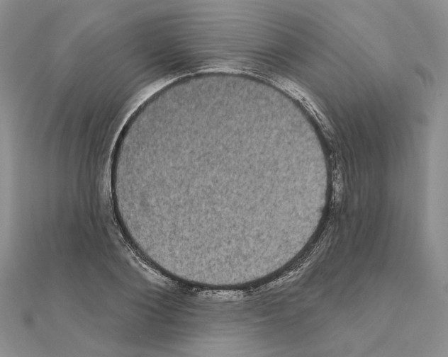 X0000111050884200908061515