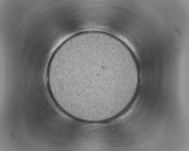 X0000111050885200908061515