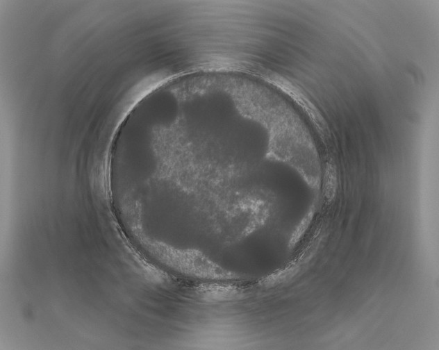 X0000111050886200908061515