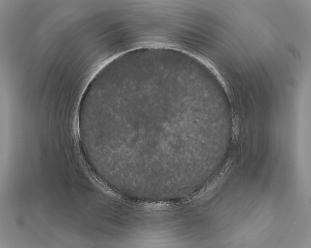 X0000111050887200908061515