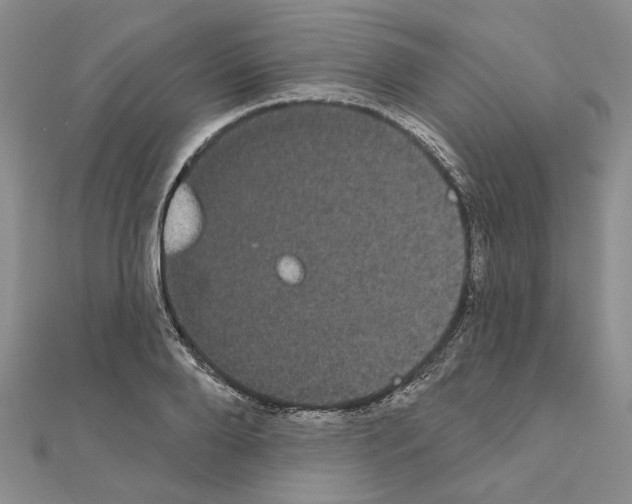 X0000111050888200908061515