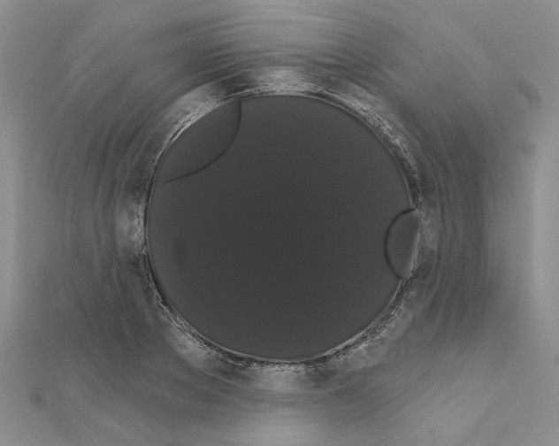 X0000111050889200908061515