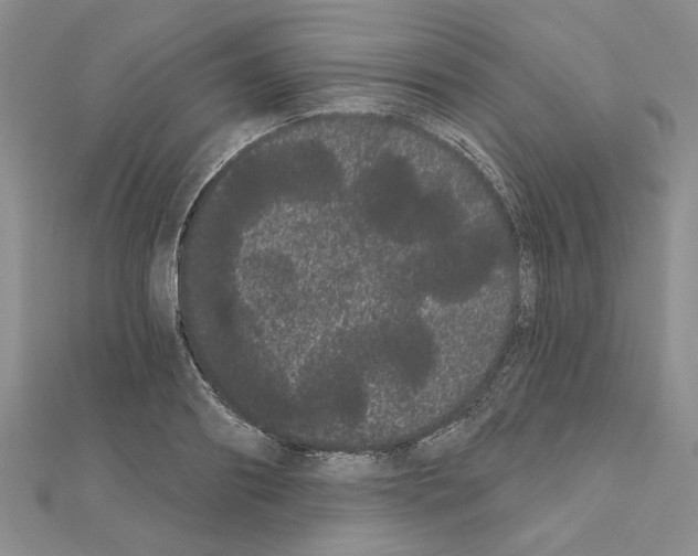 X0000111050890200908061515