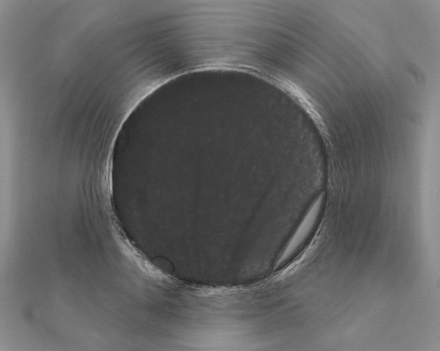 X0000111050892200908061515