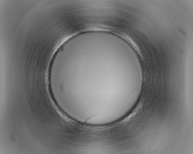 X0000111050893200908061515