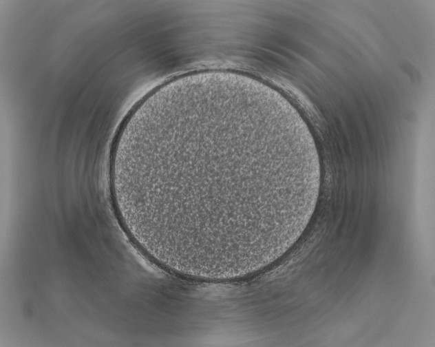 X0000111050894200908061515