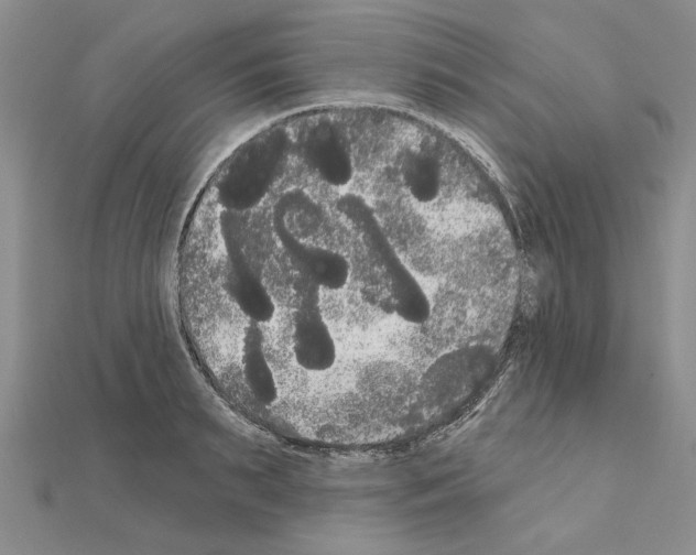 X0000111050895200908061515