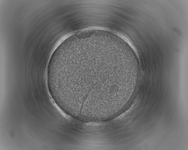 X0000111050898200908061515