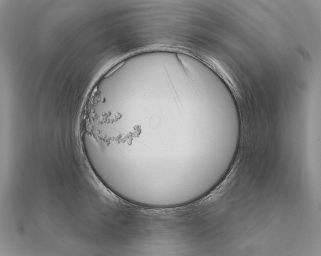 X0000111050900200908061515