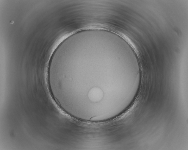 X0000111050901200908061515