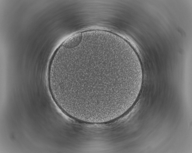 X0000111050902200908061515