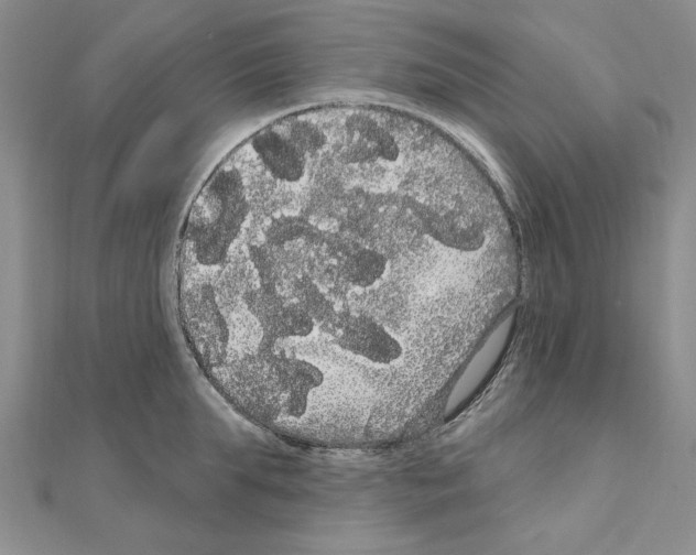 X0000111050903200908061515