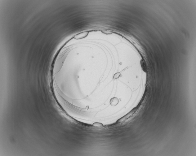 X0000111050904200908061515