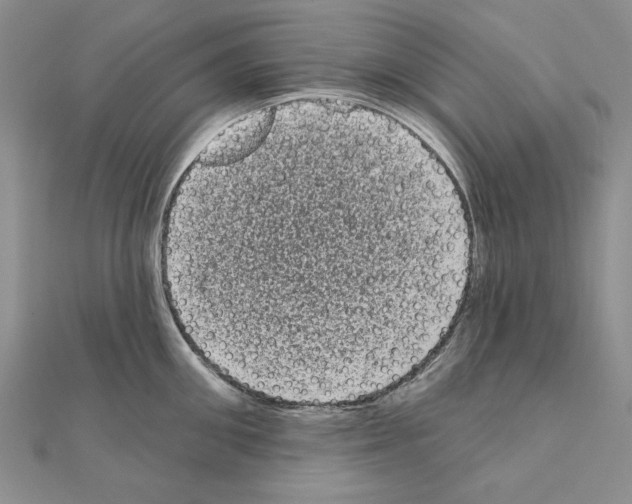 X0000111050906200908061515