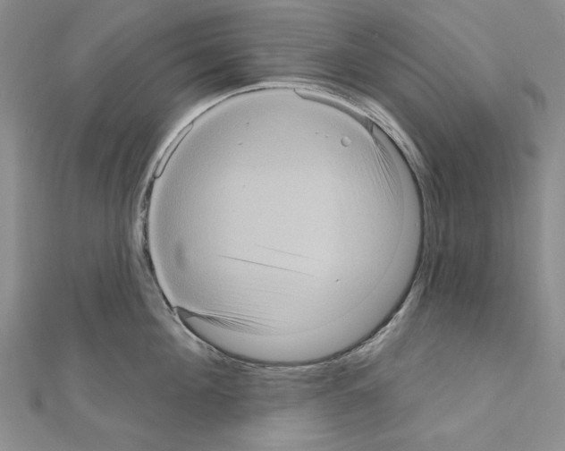 X0000111050908200908061515