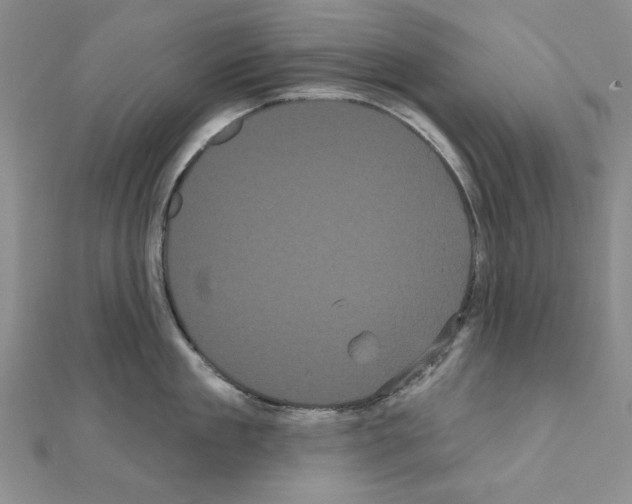 X0000111050909200908061515