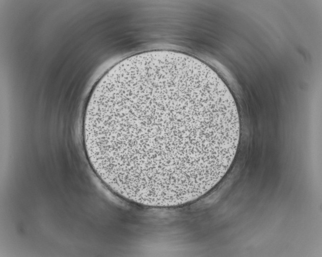 X0000111050910200908061515