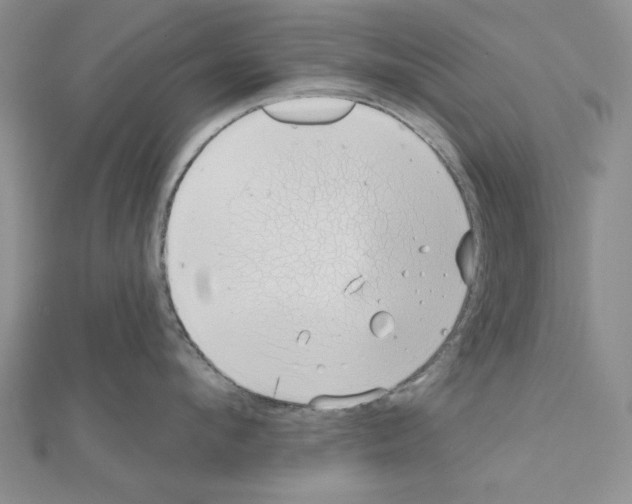 X0000111050912200908061515