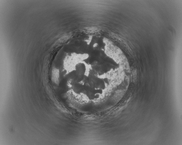 X0000111050913200908061514