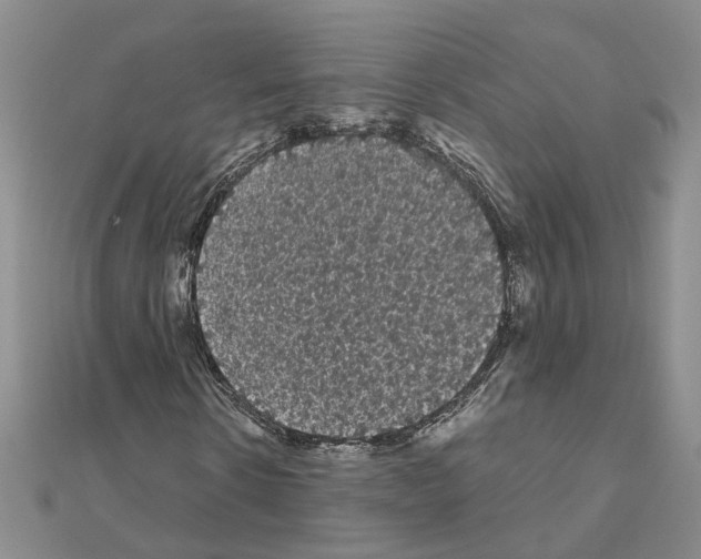 X0000111050914200908061514