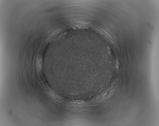 X0000111050915200908061514