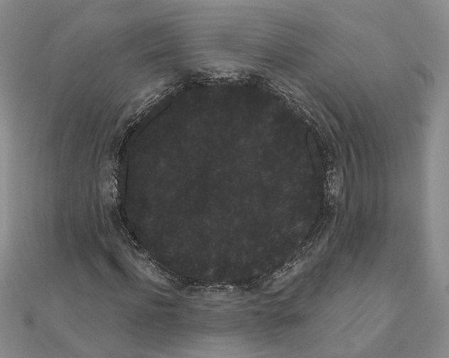 X0000111050916200908061514