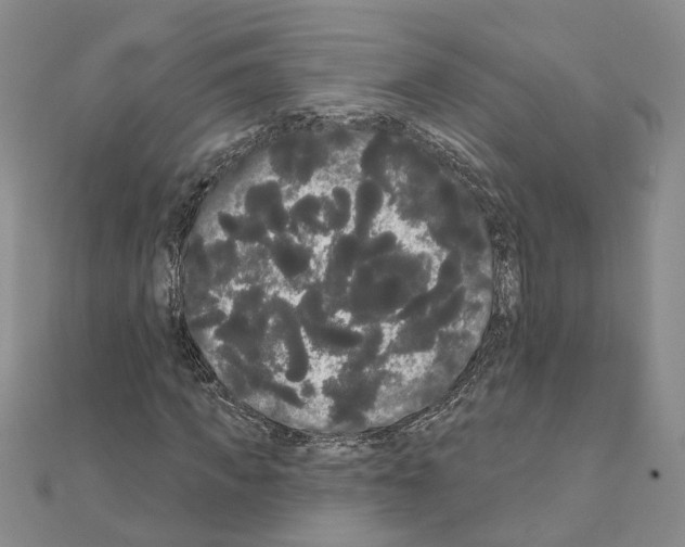 X0000111050917200908061514