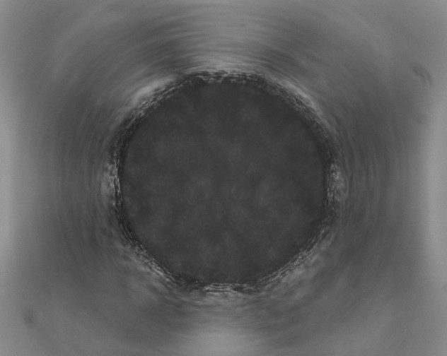 X0000111050918200908061514