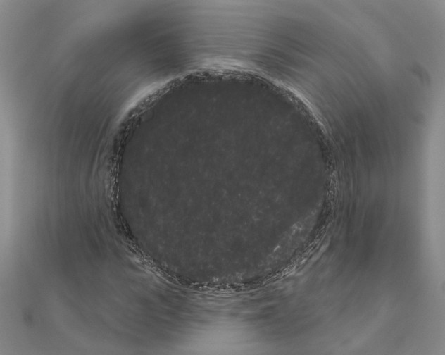 X0000111050919200908061514