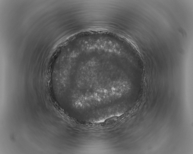 X0000111050920200908061514