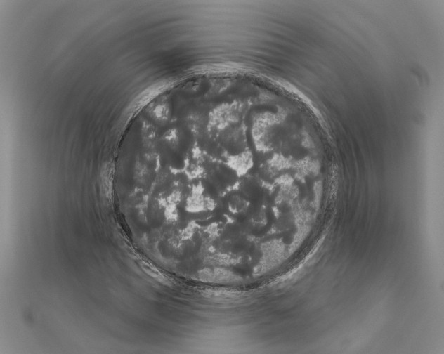 X0000111050921200908061514