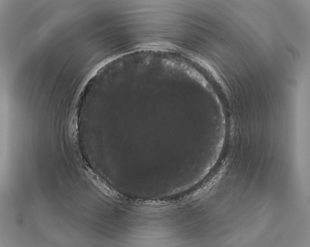 X0000111050923200908061514