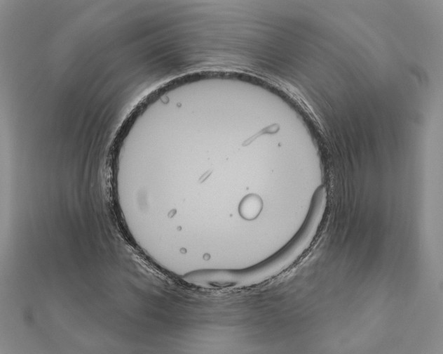 X0000111050926200908061514