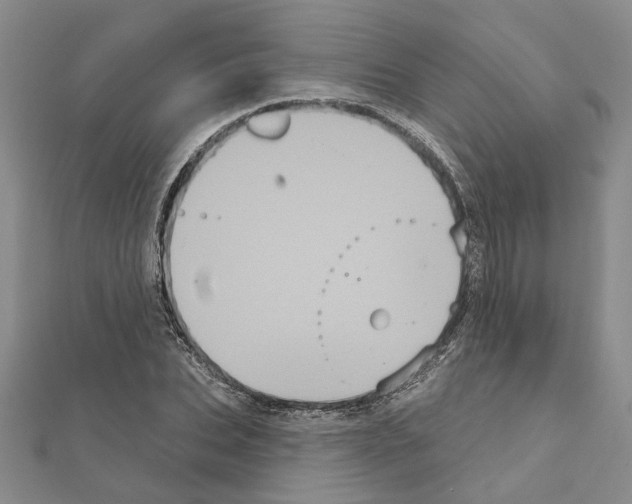 X0000111050927200908061514