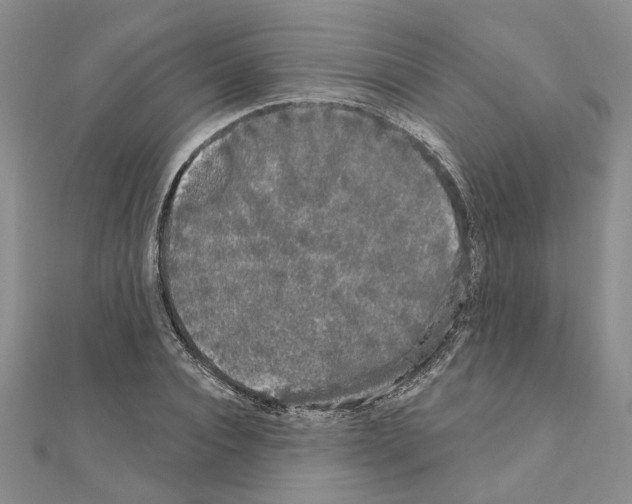 X0000111050928200908061514