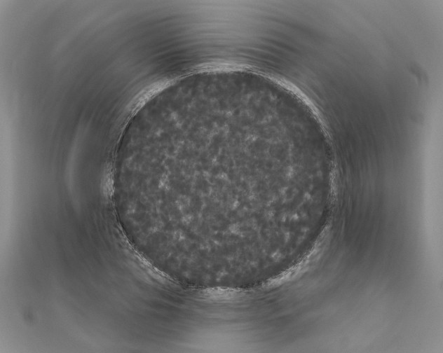 X0000111050929200908061514