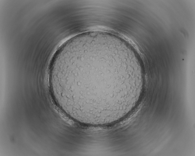 X0000111050931200908061514