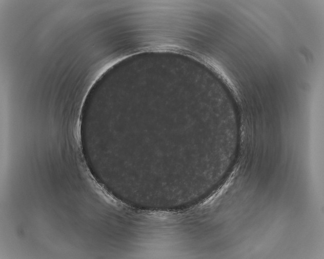 X0000111050932200908061514